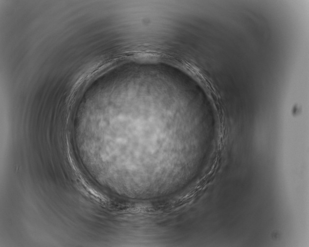 X0000113230097200909171548