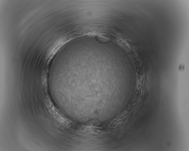 X0000113230098200909171548