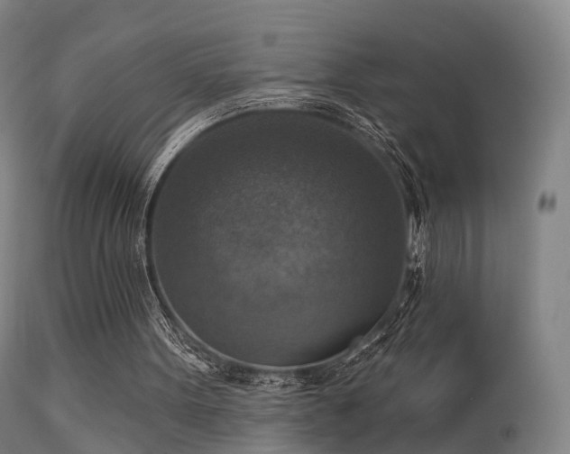 X0000113230099200909171548