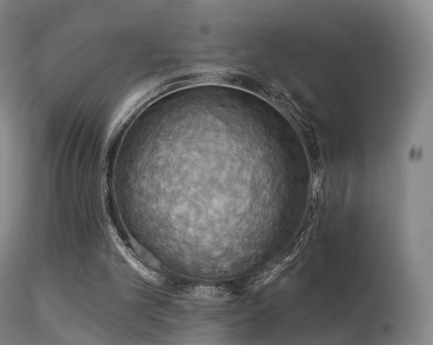 X0000113230101200909171548