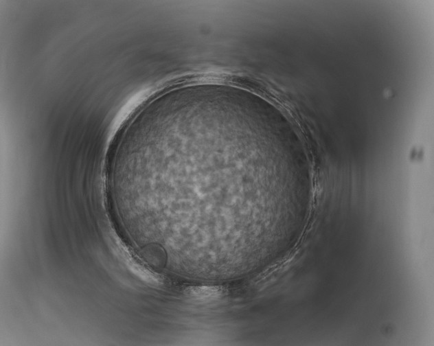 X0000113230102200909171548