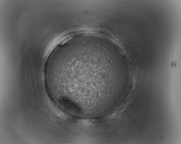 X0000113230103200909171548