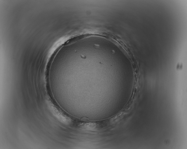 X0000113230104200909171548