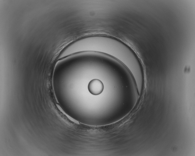 X0000113230105200909171548