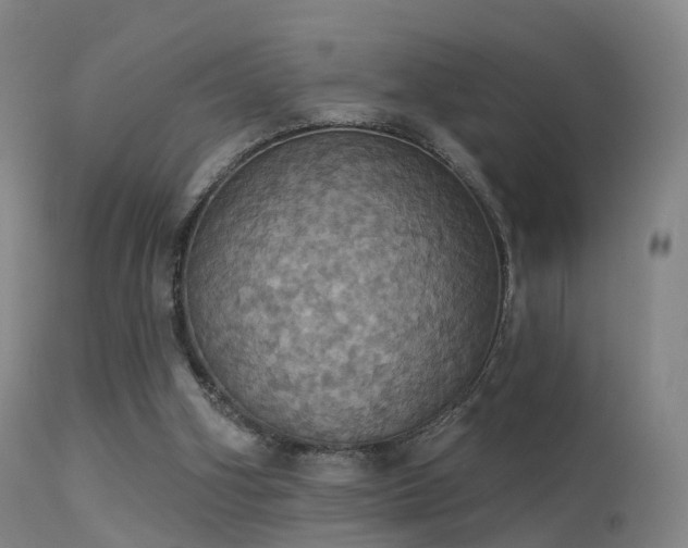 X0000113230106200909171548