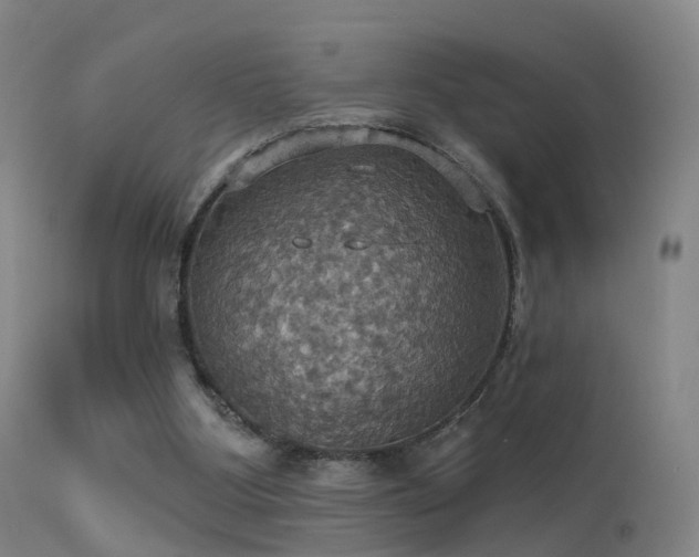 X0000113230107200909171548