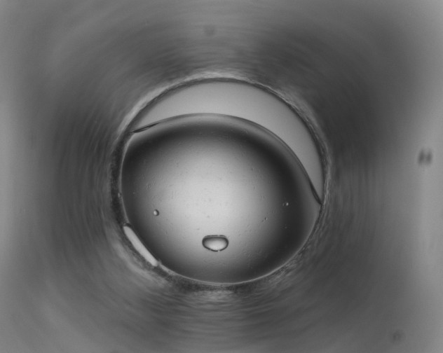 X0000113230108200909171548