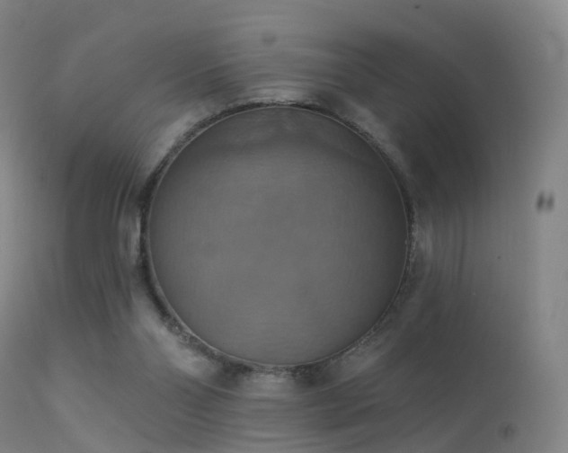 X0000113230110200909171548