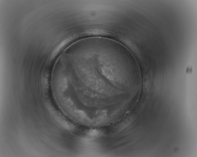 X0000113230111200909171548