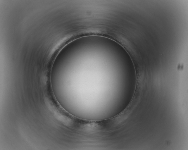 X0000113230112200909171548