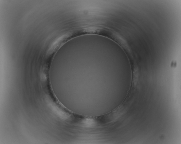 X0000113230114200909171548