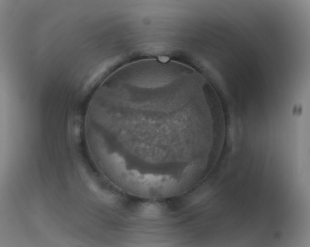 X0000113230115200909171548