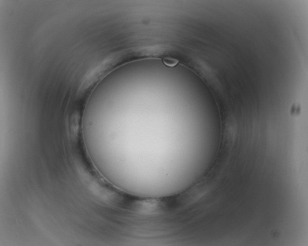 X0000113230118200909171548