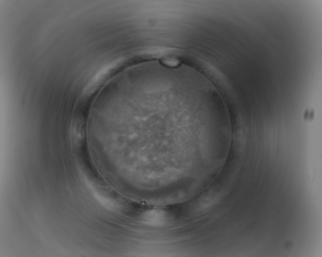 X0000113230119200909171548