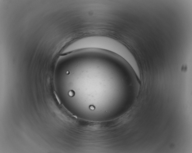 X0000113230120200909171548