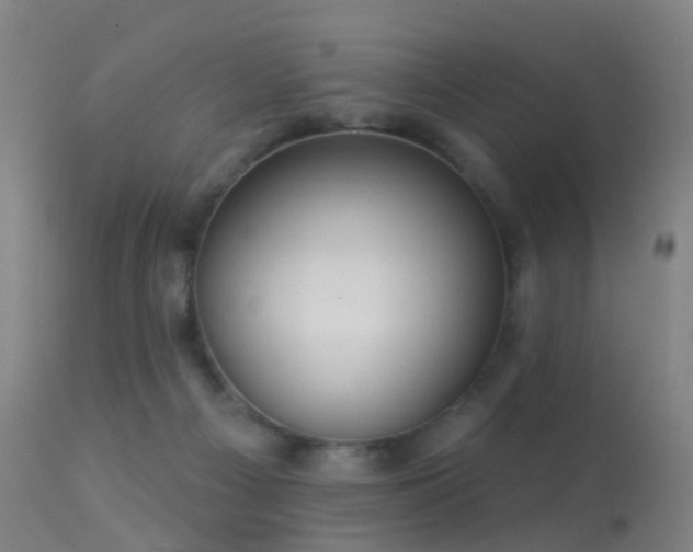 X0000113230121200909171548