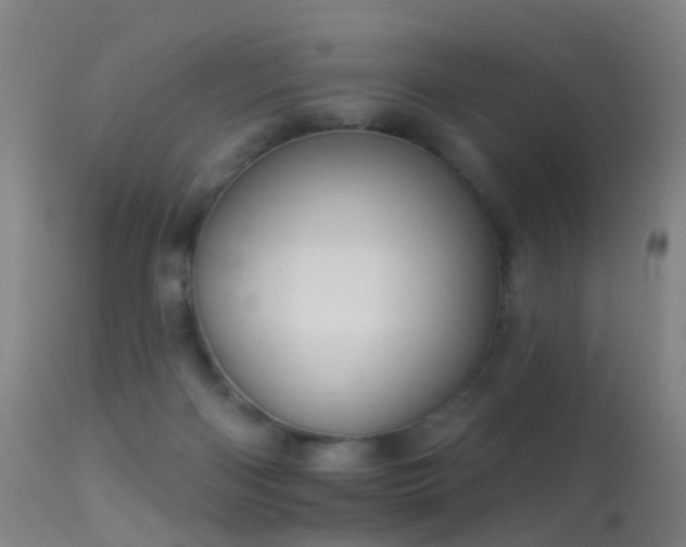 X0000113230122200909171547