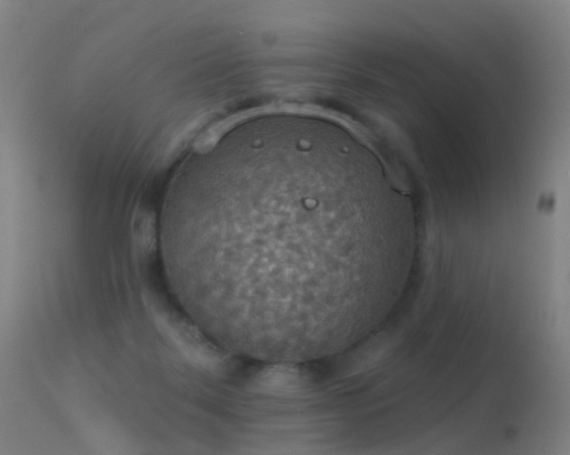 X0000113230123200909171547