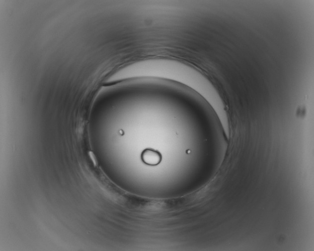 X0000113230124200909171547