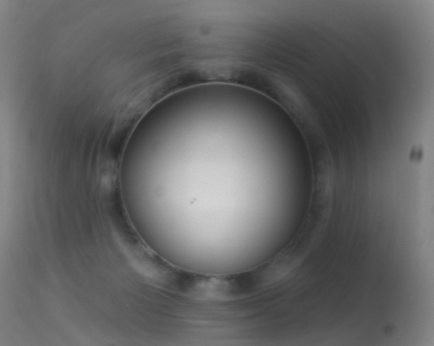 X0000113230125200909171547