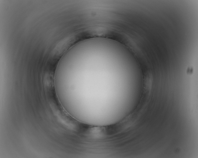 X0000113230126200909171547