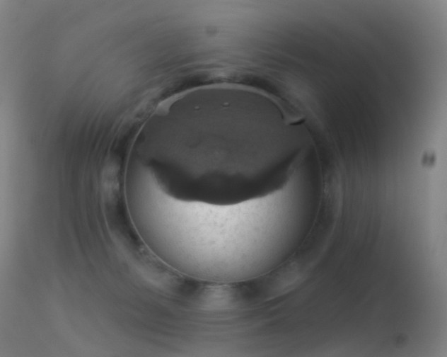 X0000113230127200909171547