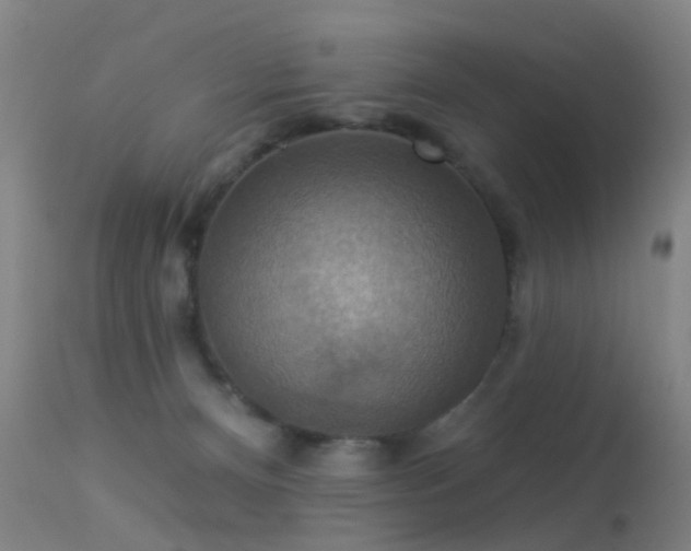 X0000113230128200909171547