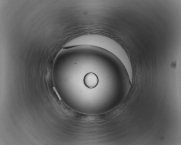 X0000113230129200909171547