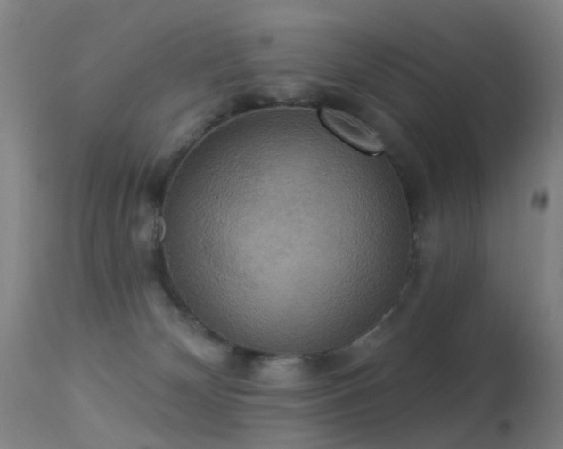 X0000113230132200909171547