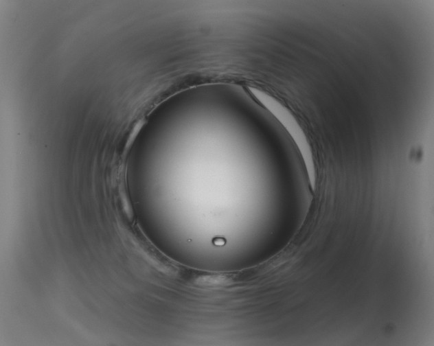 X0000113230133200909171547