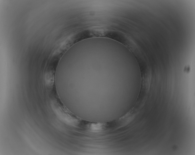 X0000113230134200909171547