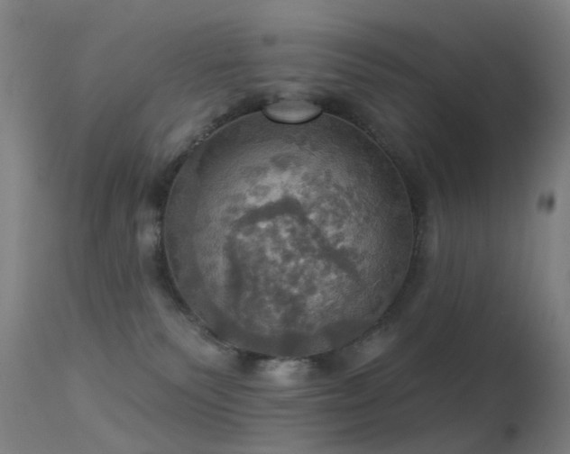 X0000113230135200909171547