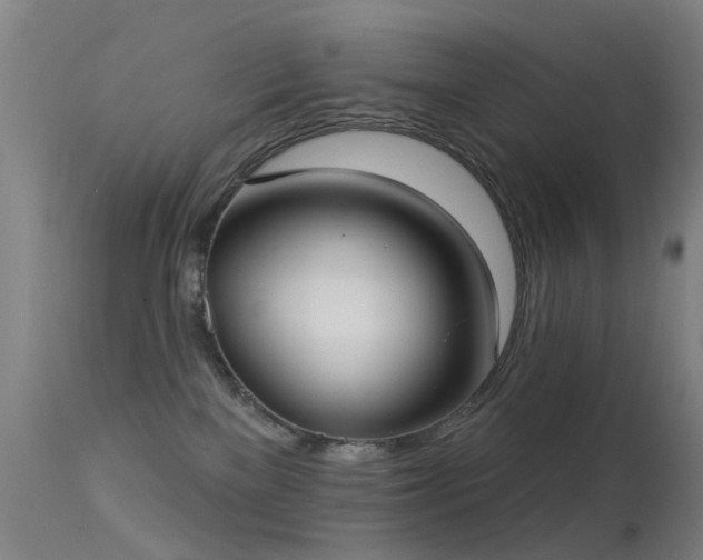 X0000113230137200909171547