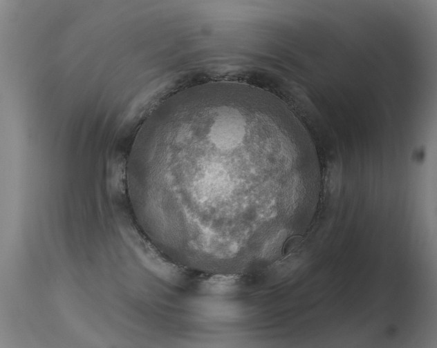 X0000113230138200909171547