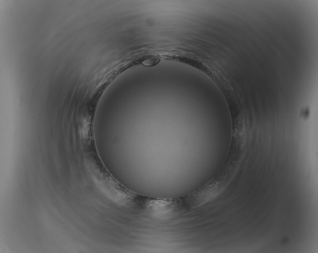 X0000113230139200909171547