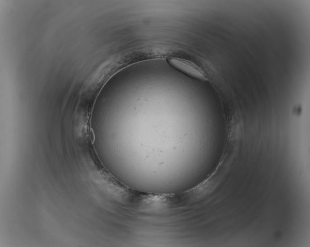 X0000113230140200909171547