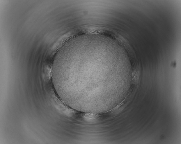 X0000113230142200909171547