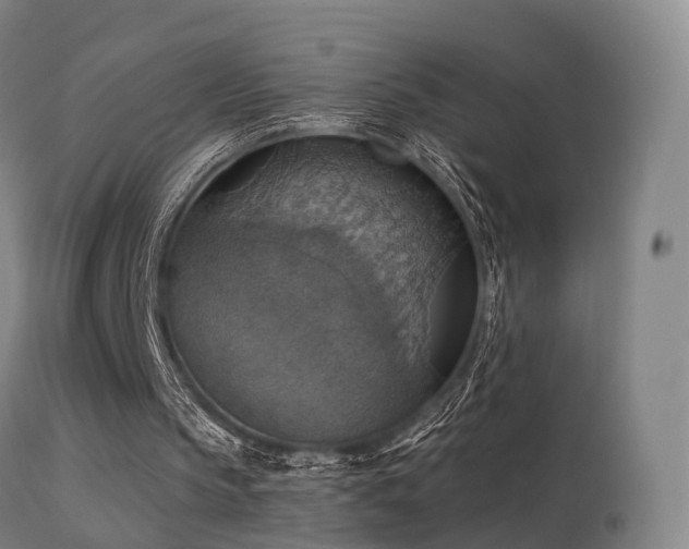 X0000113230145200909171547