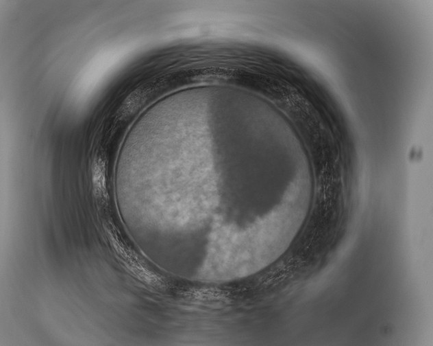 X0000113230146200909171547