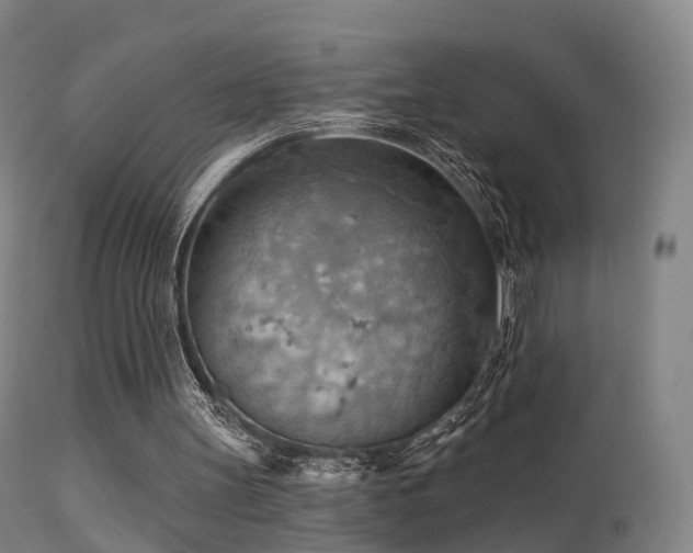 X0000113230147200909171547