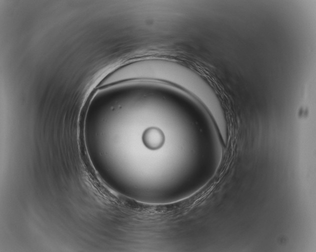 X0000113230148200909171547