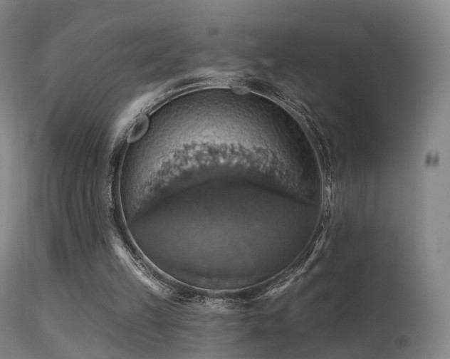 X0000113230149200909171547