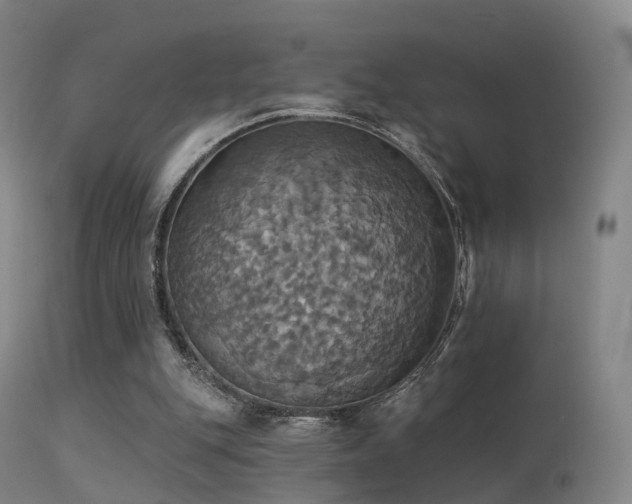 X0000113230151200909171547