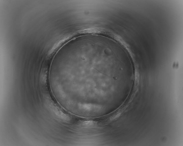 X0000113230153200909171547