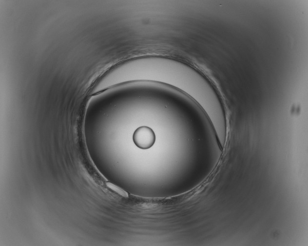 X0000113230154200909171547