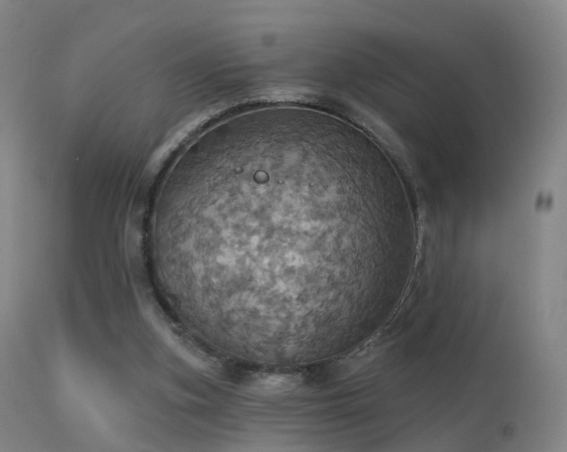 X0000113230155200909171547