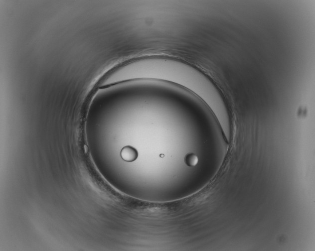 X0000113230156200909171547