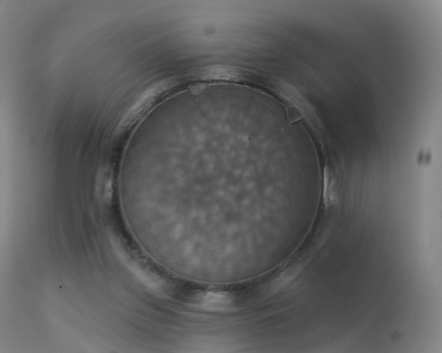 X0000113230157200909171547