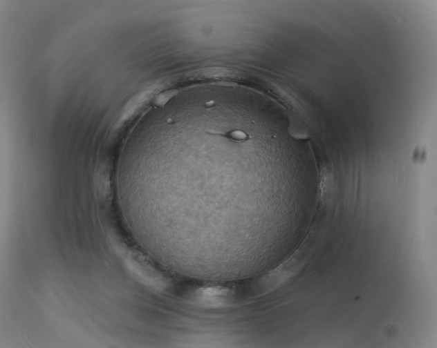 X0000113230158200909171547