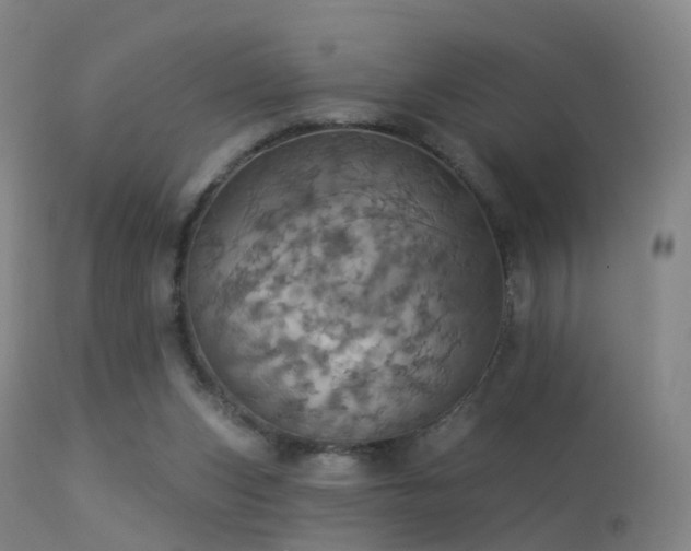 X0000113230159200909171547